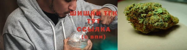 амф Арсеньев