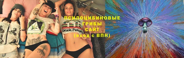 амф Арсеньев