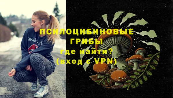 твердый Нея