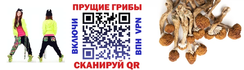 Псилоцибиновые грибы Magic Shrooms Инта